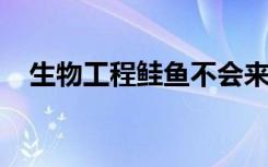 生物工程鲑鱼不会来自美国最大的农场州