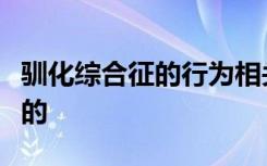 驯化综合征的行为相关性在现代犬种中是分离的