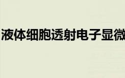 液体细胞透射电子显微镜给出了纳米级的见解