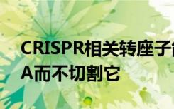 CRISPR相关转座子能够将定制基因插入DNA而不切割它