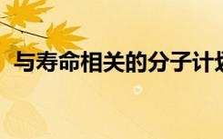 与寿命相关的分子计划不会持续到中年以后