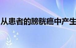 从患者的膀胱癌中产生的有机体可以指导治疗