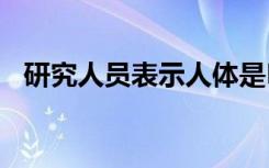 研究人员表示人体是DNA突变的镶嵌图案