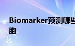 Biomarker预测哪些胰腺囊肿可能变成癌细胞