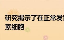 研究揭示了在正常发育过程中改变其身份的色素细胞