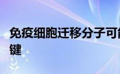 免疫细胞迁移分子可能是治疗炎症性疾病的关键