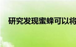 研究发现蜜蜂可以将符号与数字联系起来