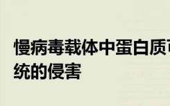 慢病毒载体中蛋白质可以保护它们免受免疫系统的侵害