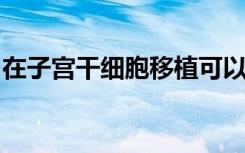 在子宫干细胞移植可以改变地中海贫血症治疗