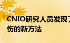 CNIO研究人员发现了一种防止高剂量辐射损伤的新方法