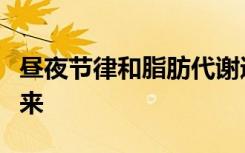 昼夜节律和脂肪代谢通过新发现的机制联系起来