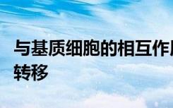 与基质细胞的相互作用影响肿瘤生长胰腺癌的转移