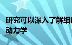 研究可以深入了解细菌和人类宿主之间的进化动力学