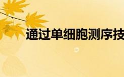 通过单细胞测序技术揭示干细胞特性