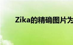 Zika的精确图片为治疗学创造了潜力