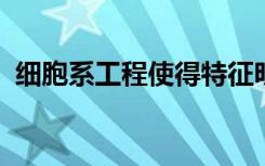 细胞系工程使得特征明确的抗体更容易获得