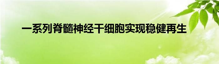 一系列脊髓神经干细胞实现稳健再生