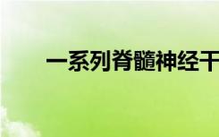 一系列脊髓神经干细胞实现稳健再生