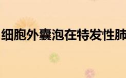 细胞外囊泡在特发性肺纤维化中发挥关键作用