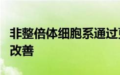 非整倍体细胞系通过更好的基因敲除方法得到改善