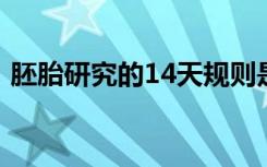 胚胎研究的14天规则是否应该成为28天规则