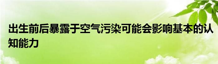 出生前后暴露于空气污染可能会影响基本的认知能力