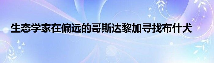 生态学家在偏远的哥斯达黎加寻找布什犬