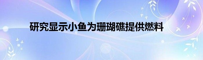 研究显示小鱼为珊瑚礁提供燃料