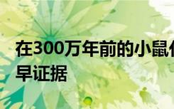 在300万年前的小鼠化石中发现了红色素的最早证据