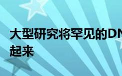 大型研究将罕见的DNA改变与2型糖尿病联系起来