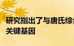 研究指出了与唐氏综合症患者记忆障碍相关的关键基因