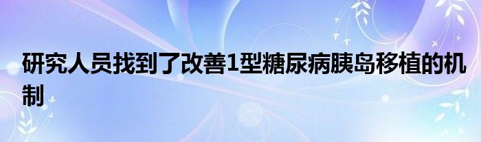 研究人员找到了改善1型糖尿病胰岛移植的机制