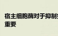 宿主细胞酶对于抑制突变形式的冠状病毒至关重要