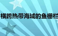 横跨热带海域的鱼栅栏具有大规模破坏性影响