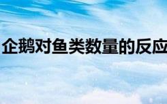 企鹅对鱼类数量的反应为海洋保护提供了信息