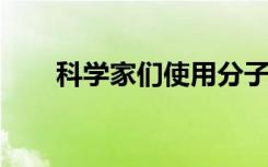 科学家们使用分子系链进行组织工程