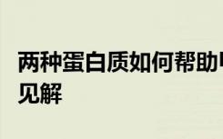 两种蛋白质如何帮助甲型流感病毒对抗细胞的见解