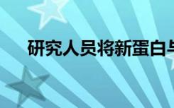 研究人员将新蛋白与帕金森症联系起来