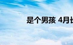 是个男孩 4月长颈鹿再次生育