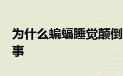 为什么蝙蝠睡觉颠倒  以及其他动物适应的故事