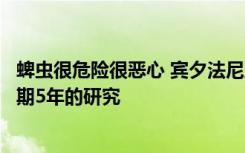 蜱虫很危险很恶心 宾夕法尼亚州正在对其传播的疾病进行为期5年的研究