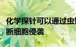 化学探针可以通过虫媒病毒调节信号通路和阻断细胞侵袭