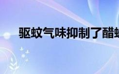 驱蚊气味抑制了醋蝇中令人愉快的气味