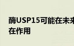 酶USP15可能在未来治疗各种癌症中具有潜在作用