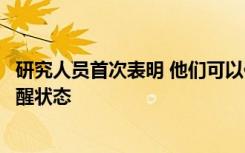 研究人员首次表明 他们可以使用在线神经反馈修改个体的觉醒状态