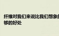 纤维对我们来说比我们想象的还要大 而且我们还没有得到足够的好处