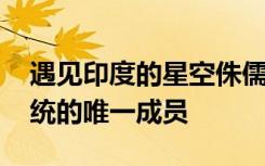 遇见印度的星空侏儒青蛙 是新发现的古代血统的唯一成员