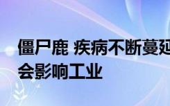 僵尸鹿 疾病不断蔓延到全国各地 猎人担心它会影响工业