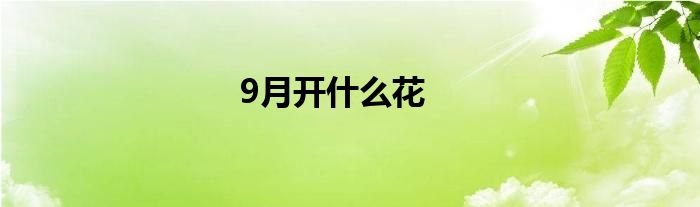 9月开什么花