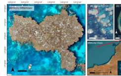无人机为脆弱的潮汐珊瑚礁提供了新的视角